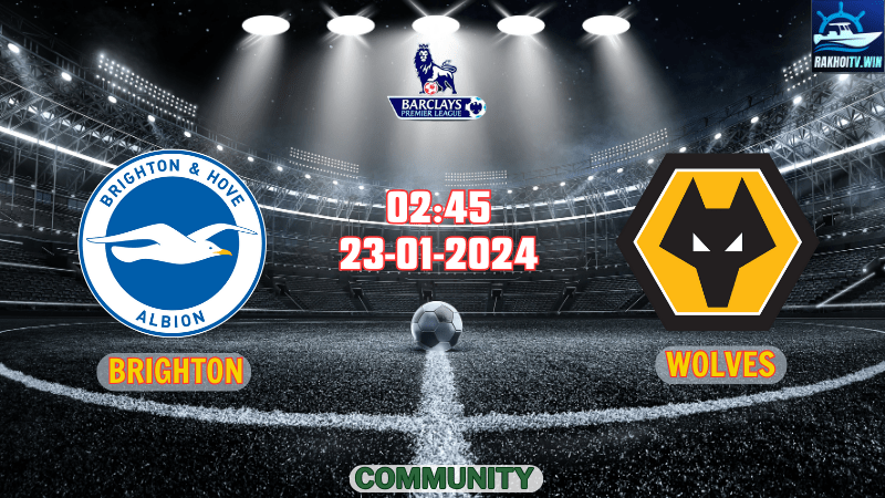 Brighton vs Wolves